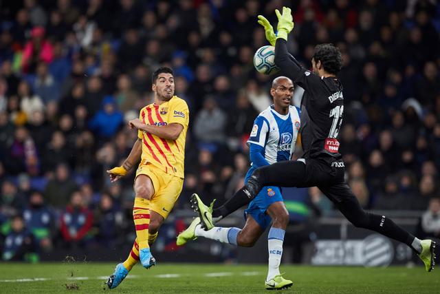 字母哥24+10雄鹿轻取黄蜂4连胜 魔术力克爵士